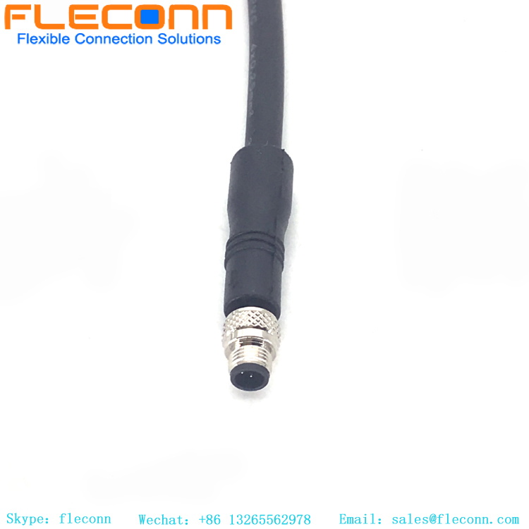 M5 3-Pole Male Cable, Straight Molded Cable Connector