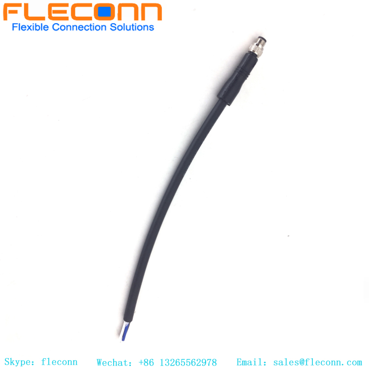 M5 3-Pole Male Cable, Straight Molded Cable Connector