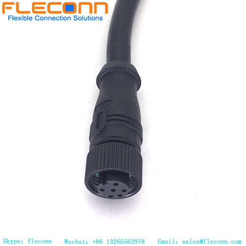 M12 6 Pin Male Cable